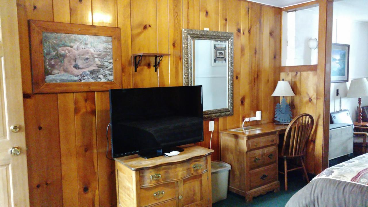 Motel Dancing Bears